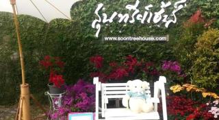 Soontree House Hotel - 3