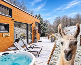La mini maison du Lama - 0