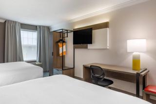 Comfort Inn & Suites Hadley - Amherst - 3