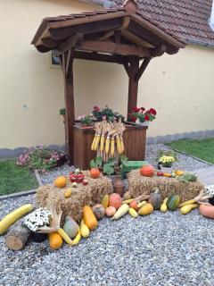 Casa Sura Sasilor - Sibiu - 8
