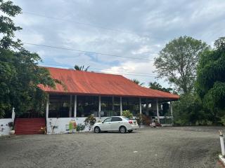 The Elegant Nest Restaurant - 3