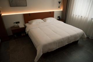 秦宋山居 Qin&Song's Mountain Retreat - 7