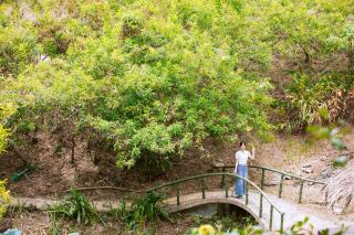 Eden Healing Garden - 7