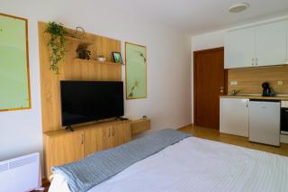 F6 Artistic Mountain Studio with Spa Patio Parking - 9