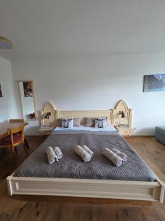 Steinbock Apartement - 0