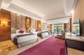 Country Garden Phoenix Hotel Foshan - 2