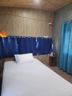 Pandey House, Near YSS, Dwarahat - 9