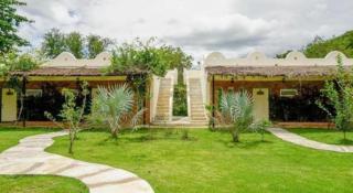 Dandelion Resort - 1