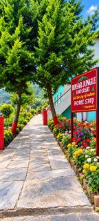 Binsar Jungle House Home Stay- A Binsar Forest Retreat - Binsar - 2