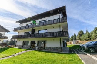 Slopeview Chalet - 5