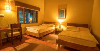 Summit River Lodge - 8