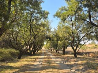 Diamond Hill Venue - Rayton - 2