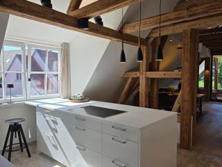Kavaliershaus Wallerstein, stilvolle Wohnung mit Privatparkplatz - 3