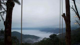 Forest House Ta Xua - 2
