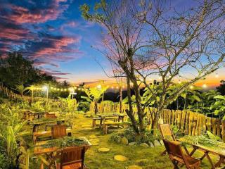 Forest House Ta Xua - 7