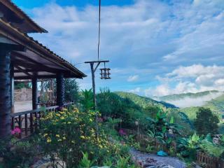 Forest House Ta Xua - 9