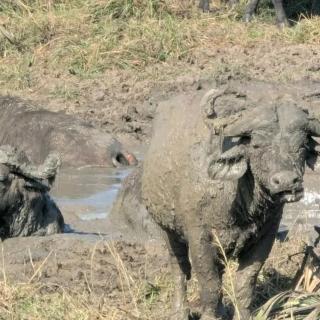 Kabalegatours ug - 3