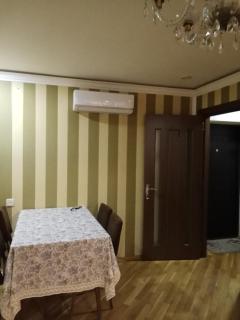 Двухкомнатная квартира студия в центре города Баку - 7