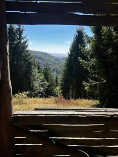 Waldnest im Harz- gemütliche Ferienwohnung mit besonderem Charme - 9