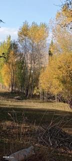aruuzatguesthouse - 8