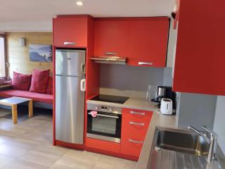 Appartement lumineux · Proche des pistes · Balcon · Animaux Admis - 1