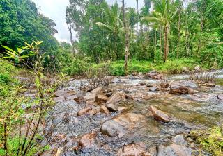 Eloria Banasura Pool Resort by VOYE HOMES - 9