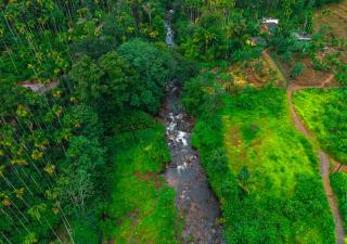 Eloria Banasura Pool Resort by VOYE HOMES - 8