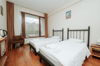 Mountain House Kazbegi - Kazbegi - 9