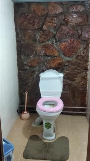 Chimgan dacha - 2