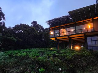 The Rainforest Ecolodge - Sinharaja with Shuttle Service from Car Park - 7