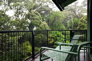 The Rainforest Ecolodge - Sinharaja with Shuttle Service from Car Park - 1