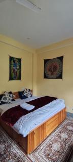 Wanderer stay by new chandra guest house - 4