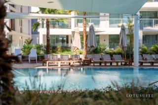 Lotus Suite 42 - 8