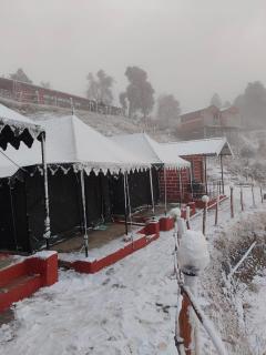 Kanatal Majestic Camp and Resort - 8