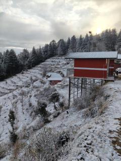 Kanatal Majestic Camp and Resort - 5