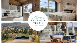 FA1084 Mountain retreat in Trysil, Sauna, 8 people - 6