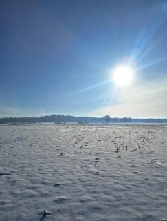 Das LANDkästchen - 9