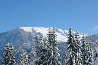 Haus Bergfreund - 2