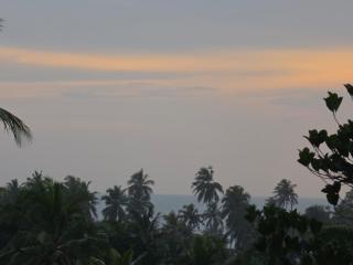 Aroha Homestay - 9