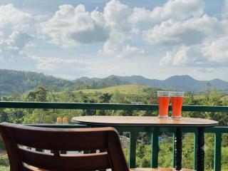Misty Mountain View Rooms - 0