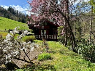 Comfortable Chalet for nature and Mountain lovers - near Portes du Soleil skiing area - 4