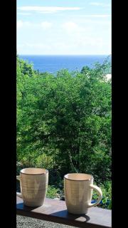 Residence Estrella Villa 2 - Les Anses-d'Arlet - 9