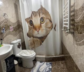 Cat Home - 1