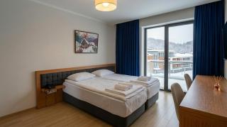 Orbi Palace Bakuriani Mountain View Studio - 9
