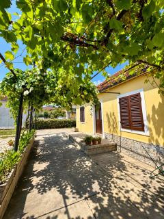 Apartman SANT Tivat - 3