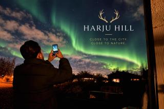 Harju Hill White - 6