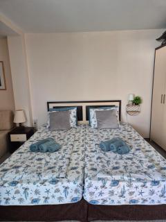 Berlin Golden Beach Studio - 5