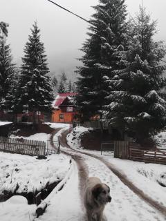 Casa Ștefania - 7