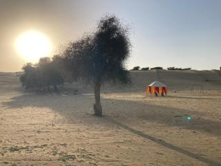 Sonal Desert Retreat - 4