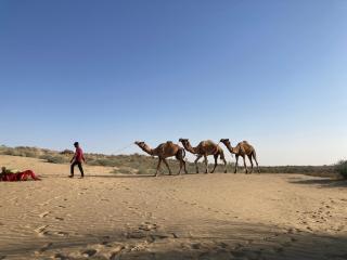 Sonal Desert Retreat - 1